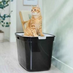 NEW IN BOX - XL Litter Box  - 2 Available $25 Each