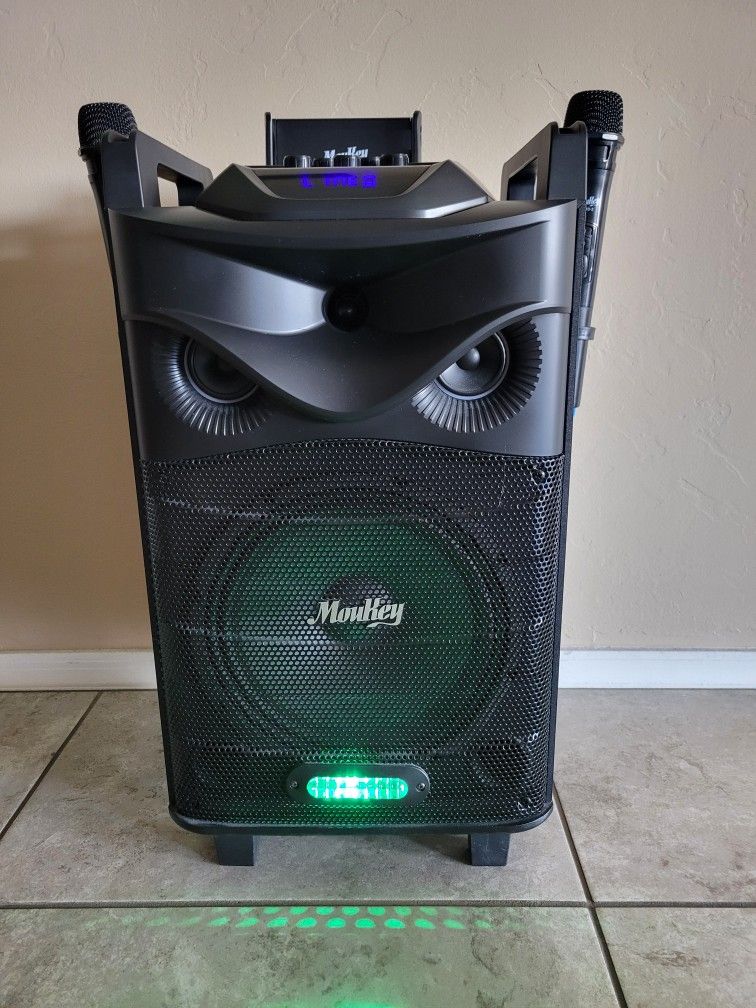 Karaoke Machine With 2 Mics