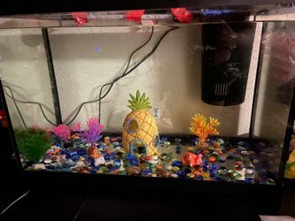 20 Gallon Brand New Need Gone 