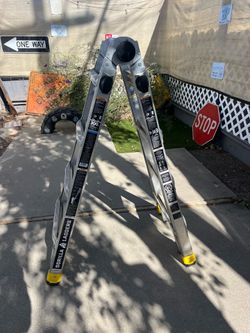 Gorilla adjustable Ladder