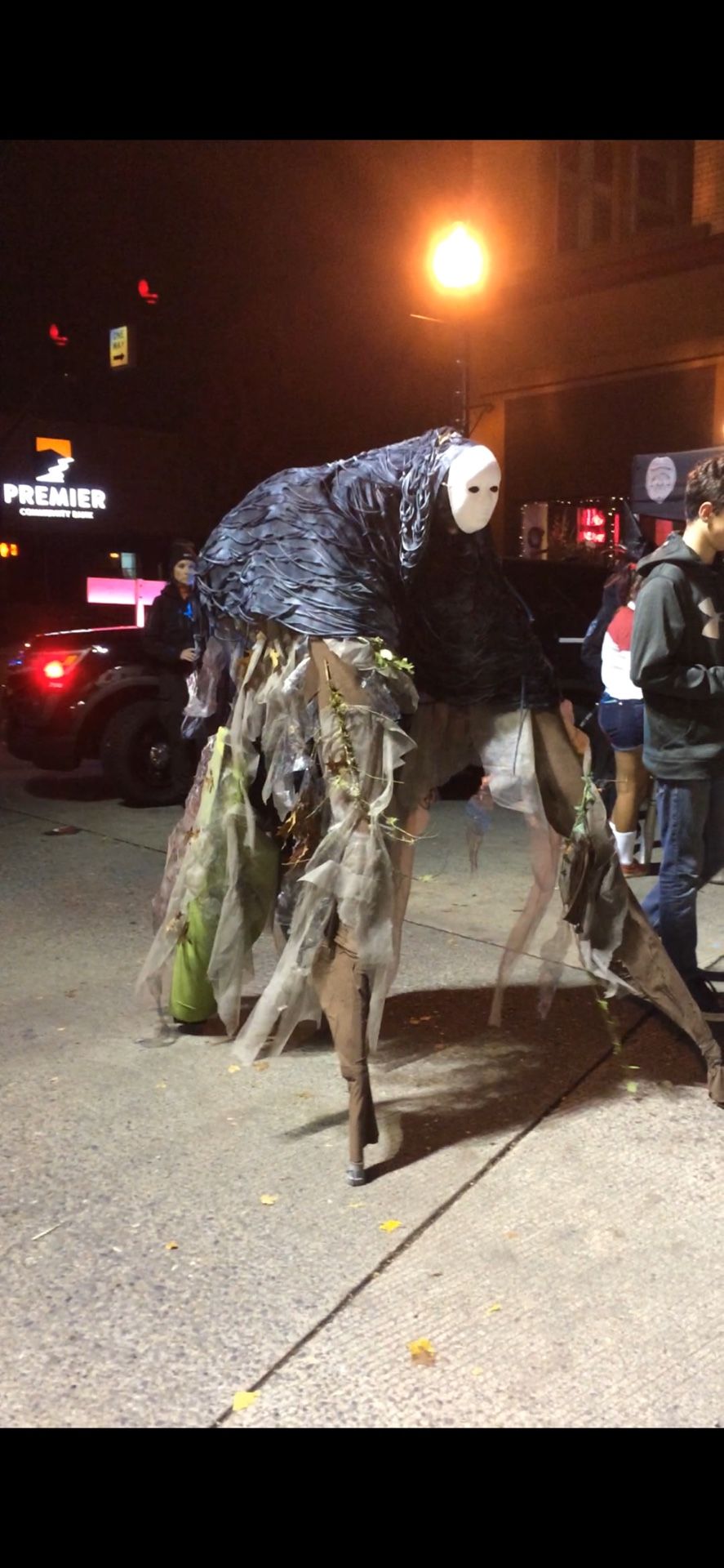 Custom Halloween Costume