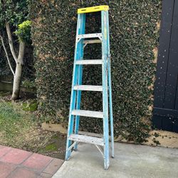 6 Foot Ladder 