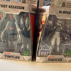 Tmnt set of two