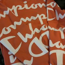 Champion Men's sweatshirt