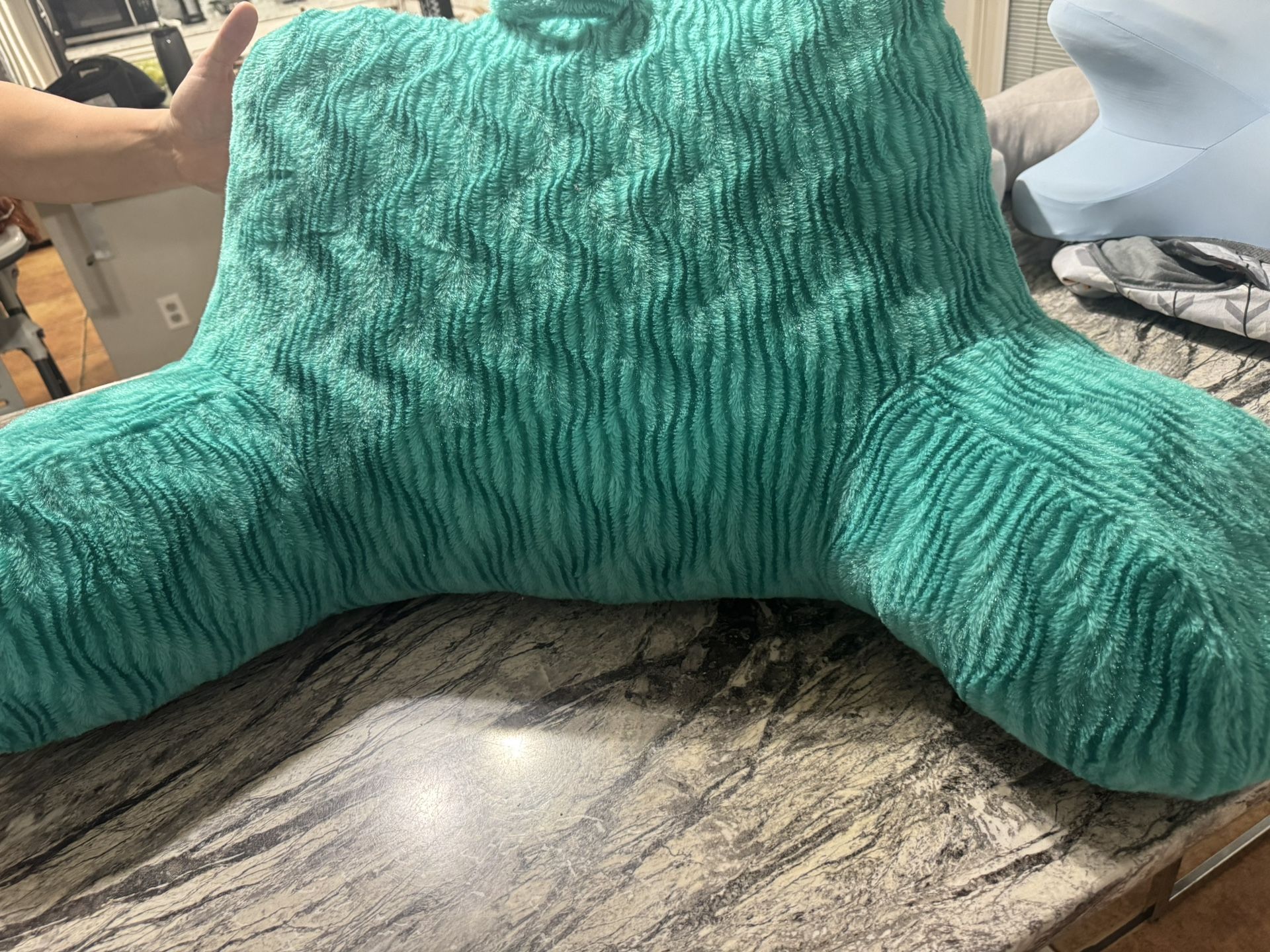 Blue Back Pillow