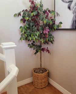 Decorative Tree
