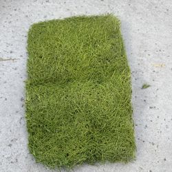 Dried Moss/ Decorative Dried Turf 