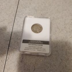 1923 Buffalo  nickel in slab