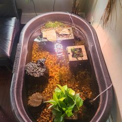 Indoor Pond