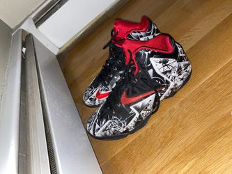 Lebron Grafitti 11s (Size 12)
