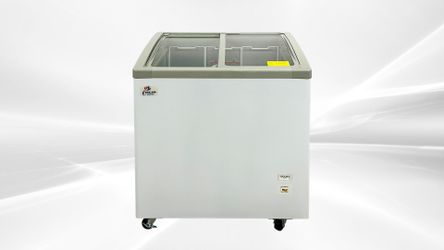 NSF 31 ins Ice Cream Glass Freezer 6.7 CU FT SD251S
