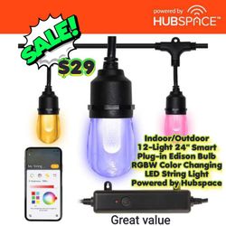 Hampton Bay
Indoor/Outdoor 12-Light 24 ft. Smart Plug-in Edison Bulb RGBW Color Changing LED String Light Powered by Hubspace