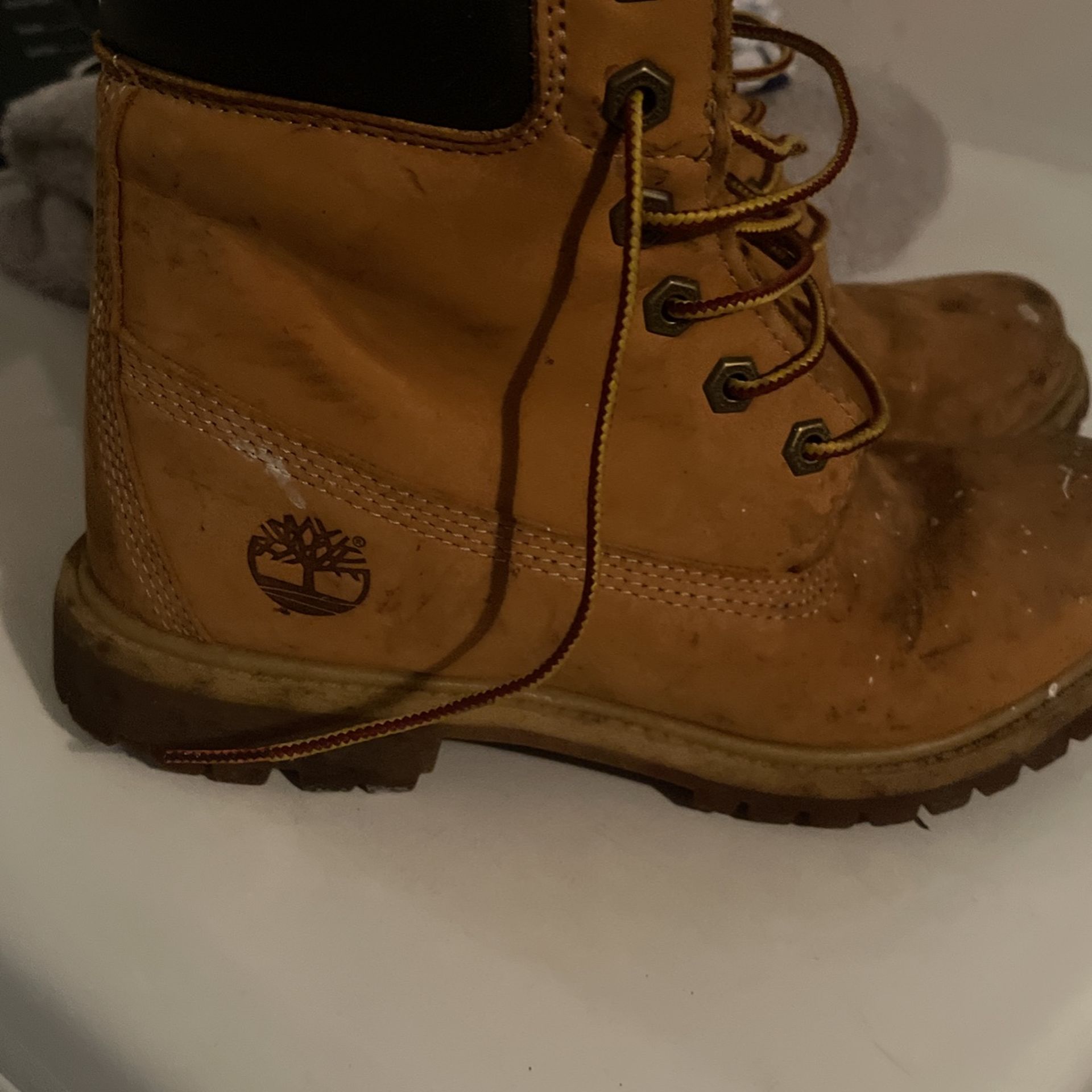 Women Boots Timberland Talla 8