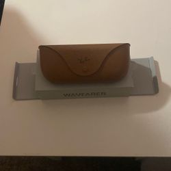 Wayfarer Glass With Camera Rayban