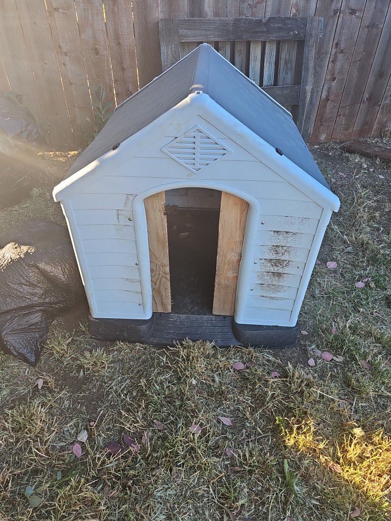 Dog House And Cage 