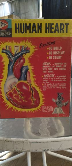 Life Size Heart Model Kit