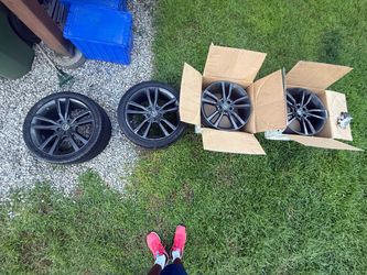 TLX ASPEC RIMS ‘19