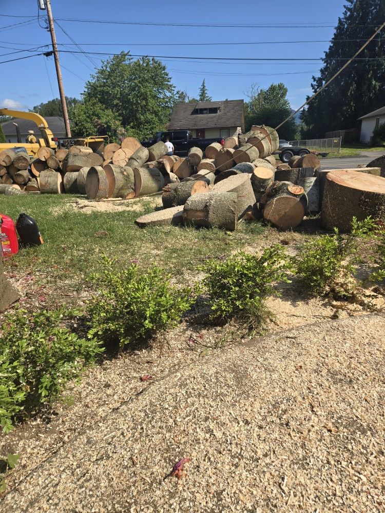 Free Wood!!