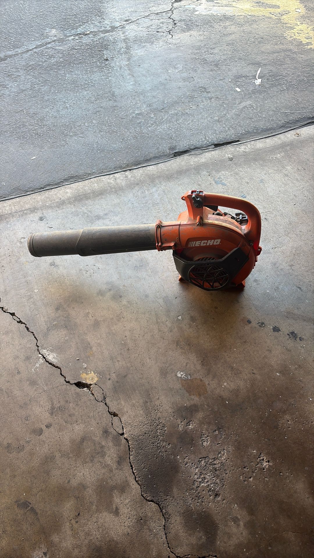 Echo Leaf Blower
