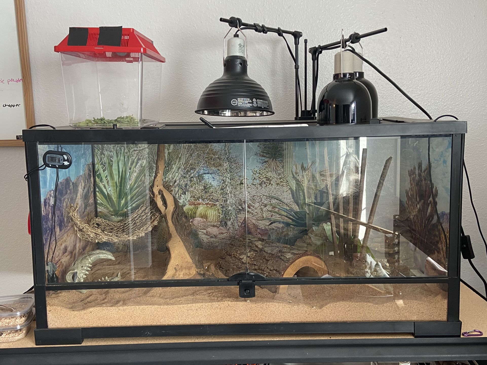 Reptile Terrarium (18x36) 40 Gallon