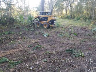 Limpio terrenos y anibelo