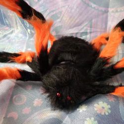  Halloween Decorations Spider