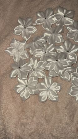 White Plumeria Flowers