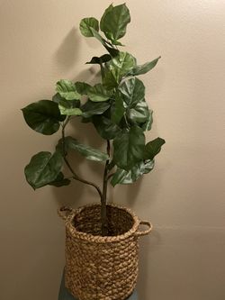 Artificial Plant W Basket
