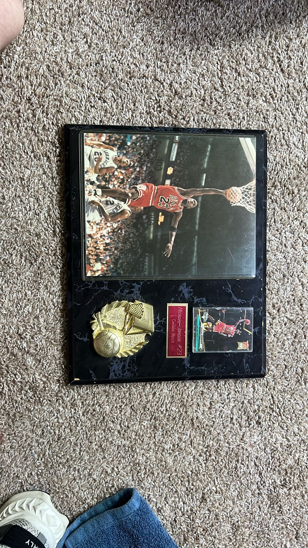 Michael Jordan Chicago Bulls Plaque 