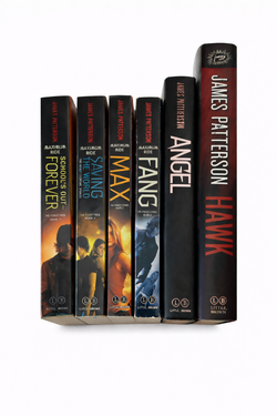 Maximum Ride Series