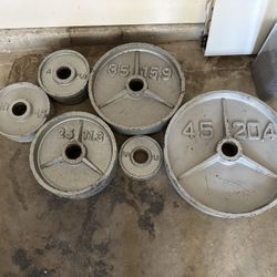 Olympic barbel weight plates