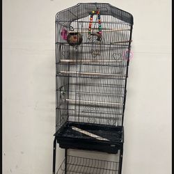 Bird Cage 