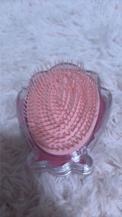seashell brush