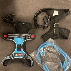2 Small Dog Harnessed, New