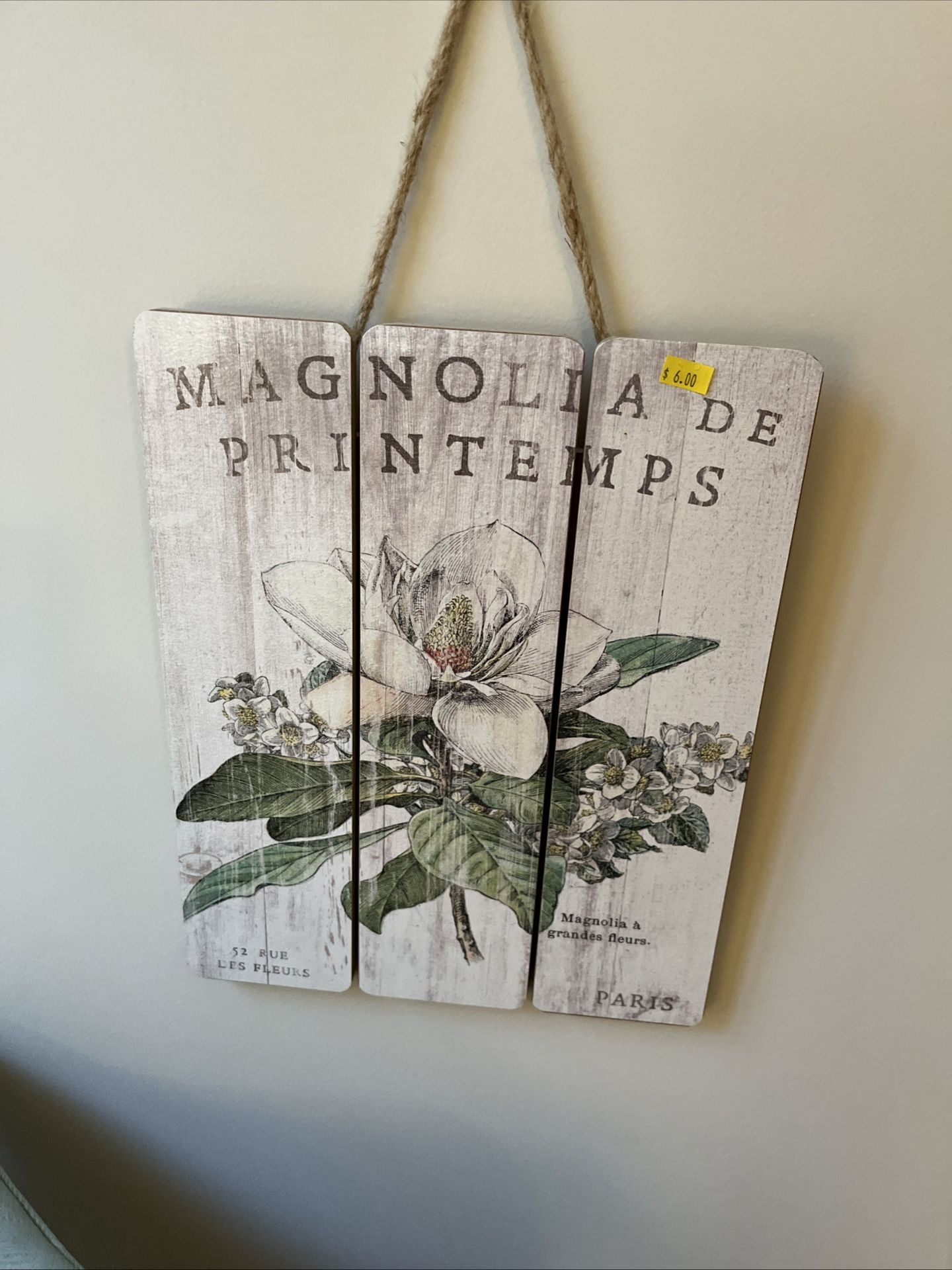 French Magnolia’s In Spring Wooden Wall Art