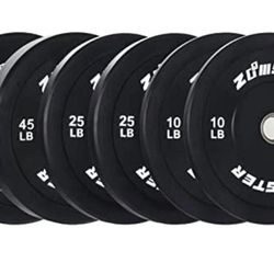 SET OF WEIGHT PLATES 