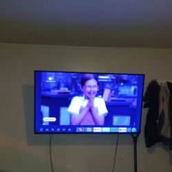 Insignia 55" Tv