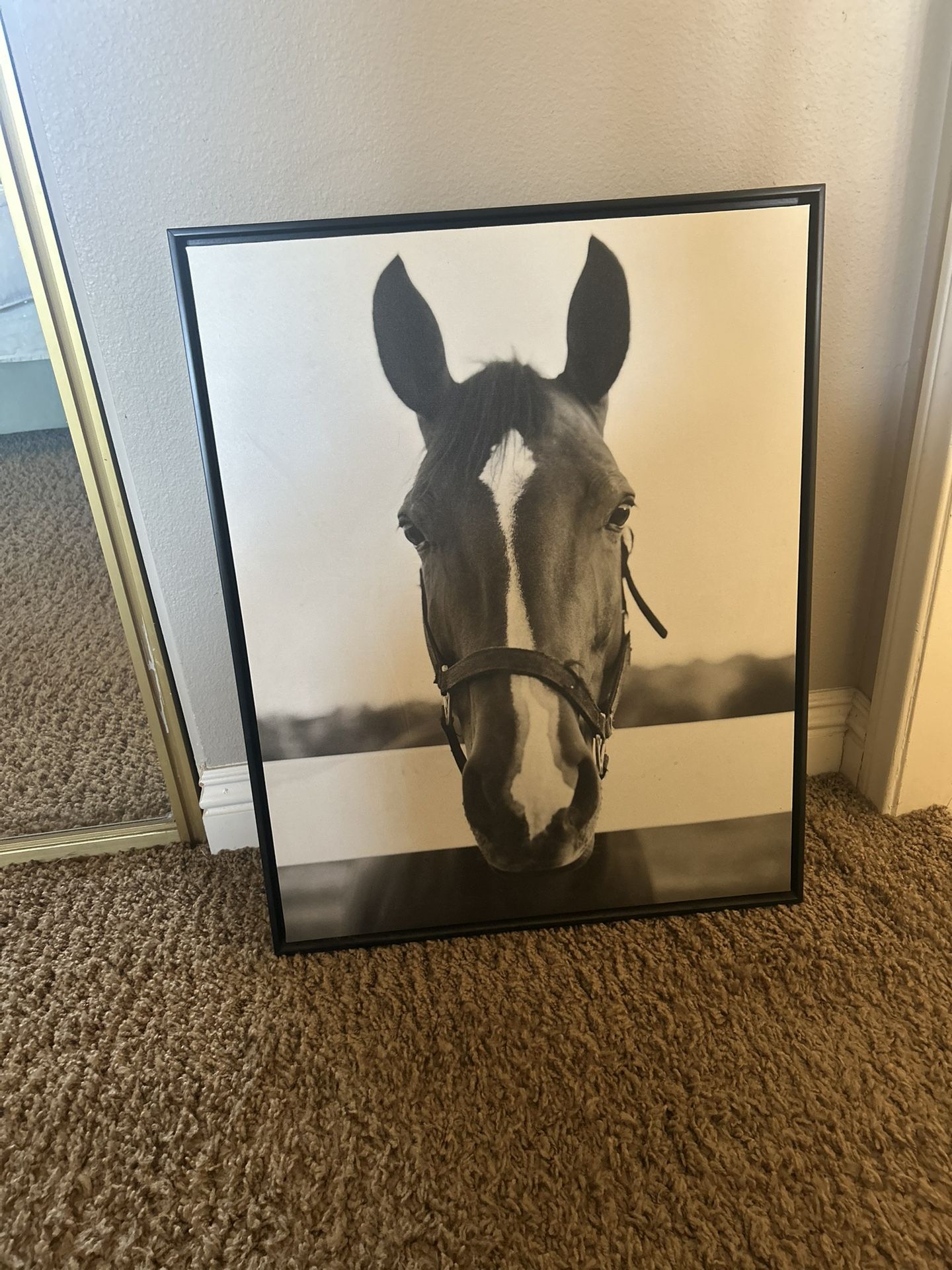 New Horse Print