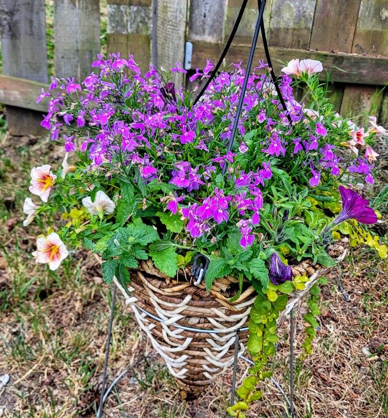 2 Hanging Flower Baskets