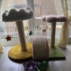 Cat Tree/ Harness And Leash Kitten 