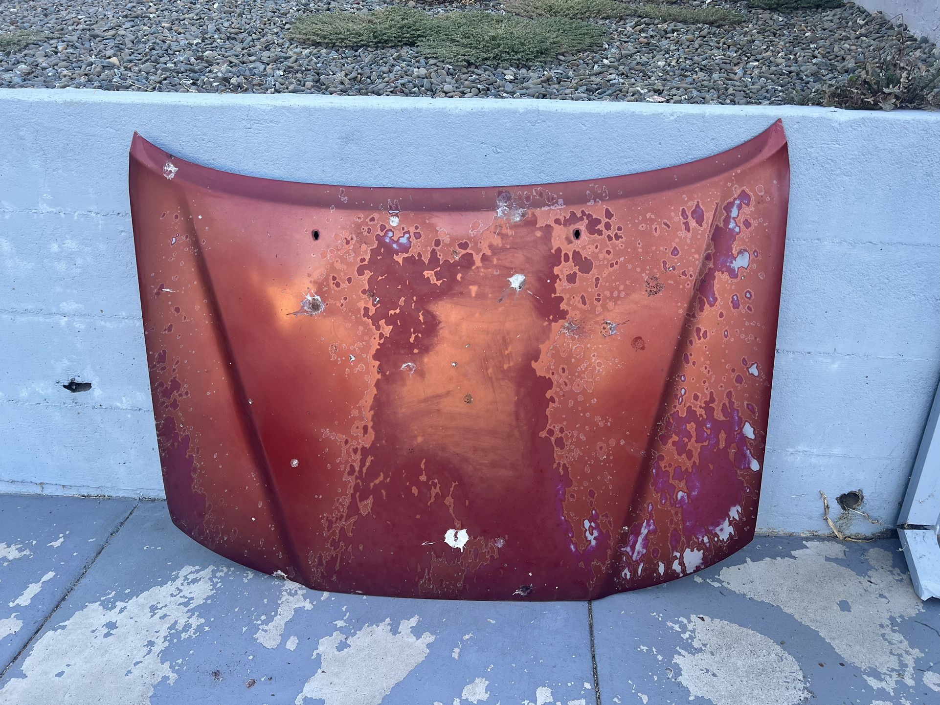 2005 Tacoma Prerunner Hood