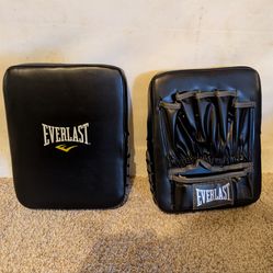 Everlast Punching Mits