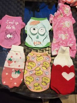 Small dog clothes