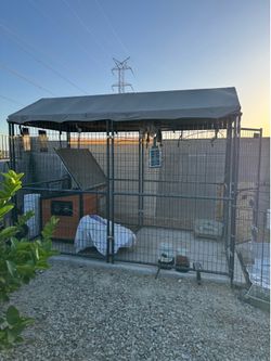 Kennel 10 feet x6 feet