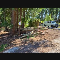 Free Firewood