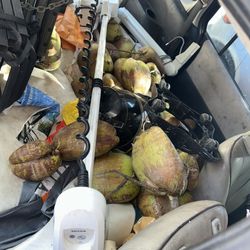 Selling Marine Engine Minn Kota Terrova