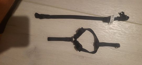 Small Kitten Harness