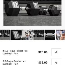 💪 Rogue Dumbbells Set – 5 lb– Great Condition! 
