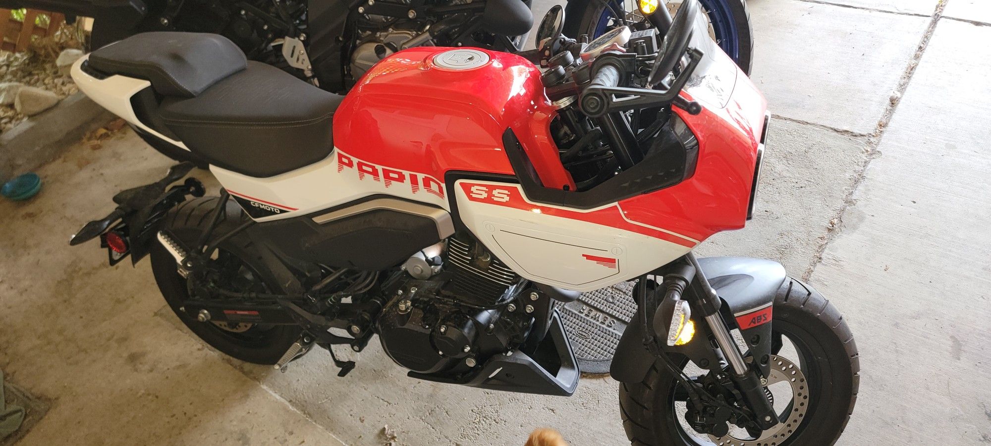 2024 CF MOTO Papio SS
