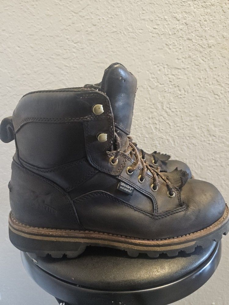 Redwing Irish Setter 878